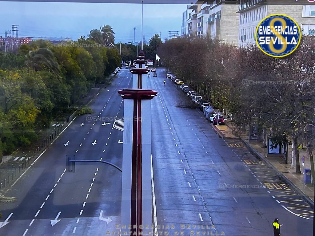 Reestablecido el tráfico en la avenida Alberto Jiménez Becerril tras la caída de un árbol