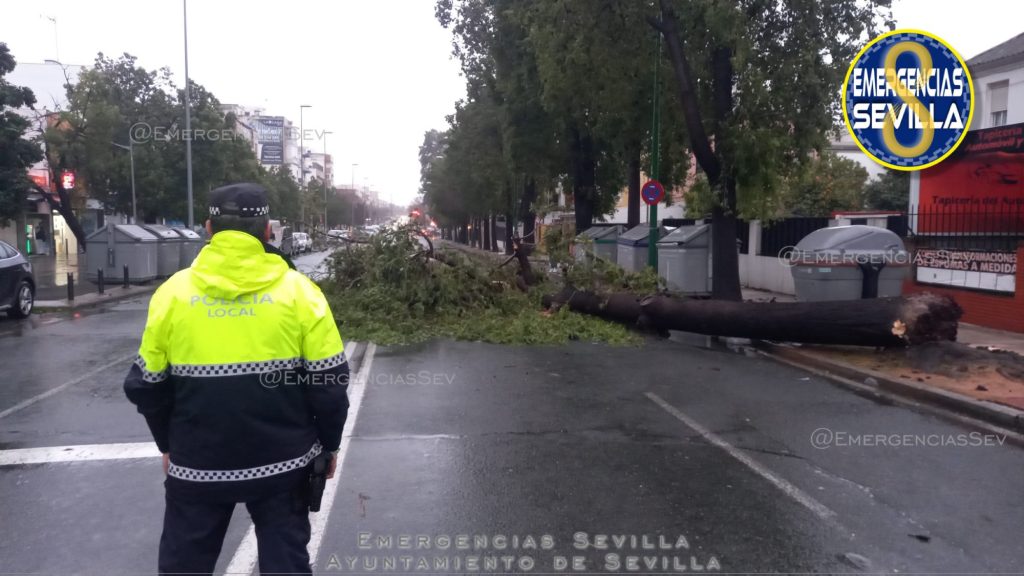 Los servicios de emergencias atienden más de 400 incidencias en Sevilla por la borrasca Kristin