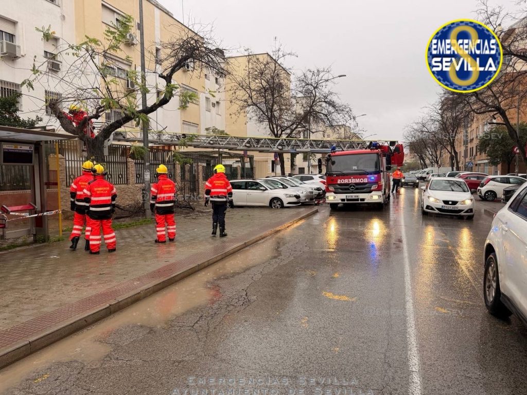 Los Servicios de Emergencia atienden 142 incidencias en el inicio de la Borrasca Marta