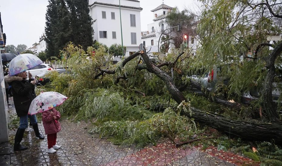 El temporal de viento deja más de 350 incidencias en Andalucía y obliga a desalojar núcleos rurales en Jerez