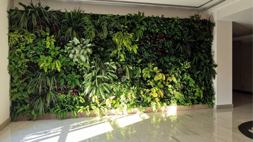 Los jardines verticales eliminan hasta el 98% de los contaminantes del aire interior en 24 horas
