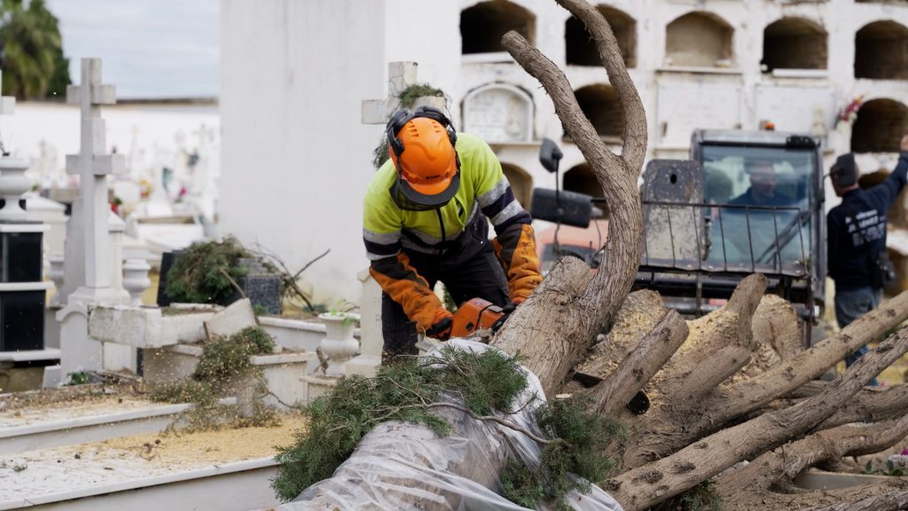 El Cementerio de Sevilla continúa cerrado parcialmente por la retirada de 132 árboles tras el temporal