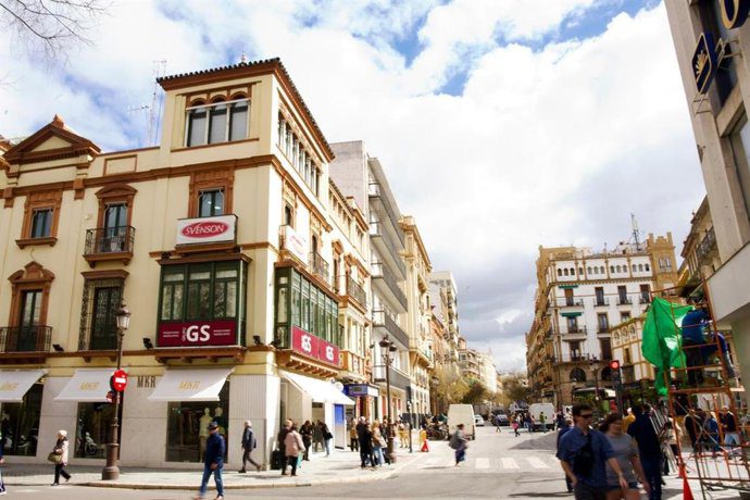 El Ayuntamiento retira cuatro árboles en La Campana por la llegada del tranvibús