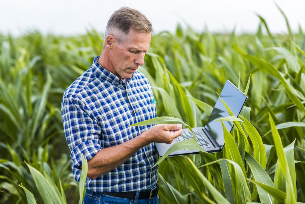 Ingeniero/a Técnico/a Agrícola para Sevilla