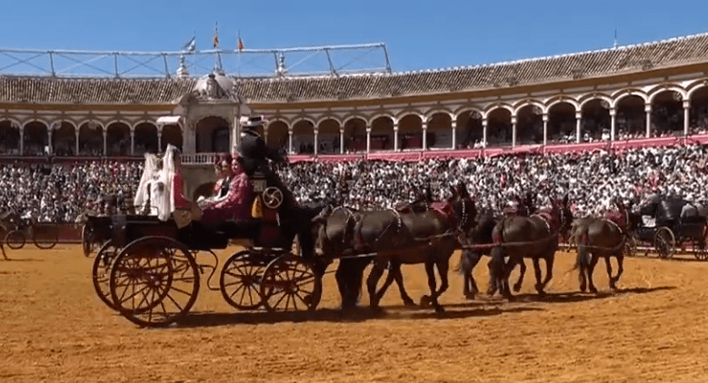 La Junta destaca la XL Exhibición de Enganches de Sevilla como pilar económico y turístico