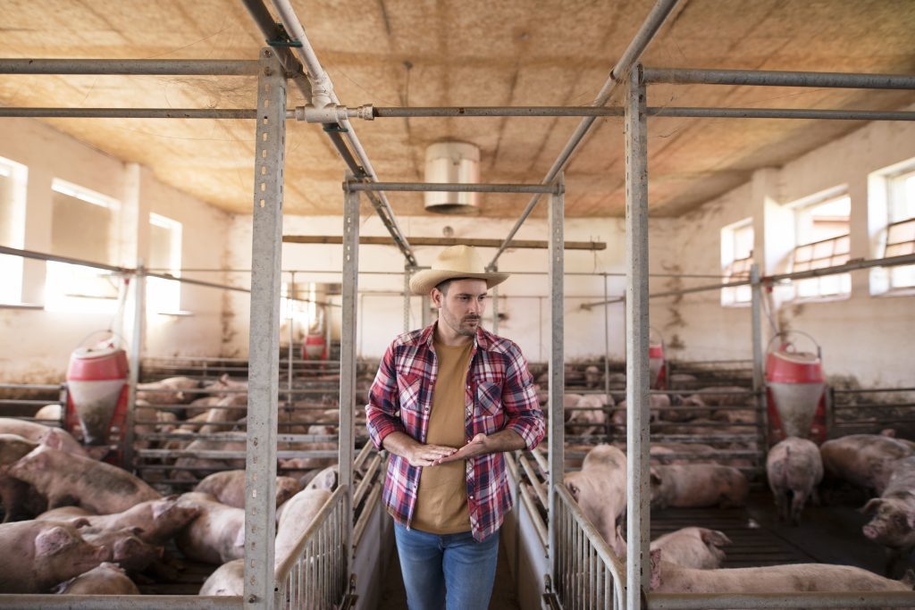Inseminador/a de ganado porcino en Écija con contrato indefinido