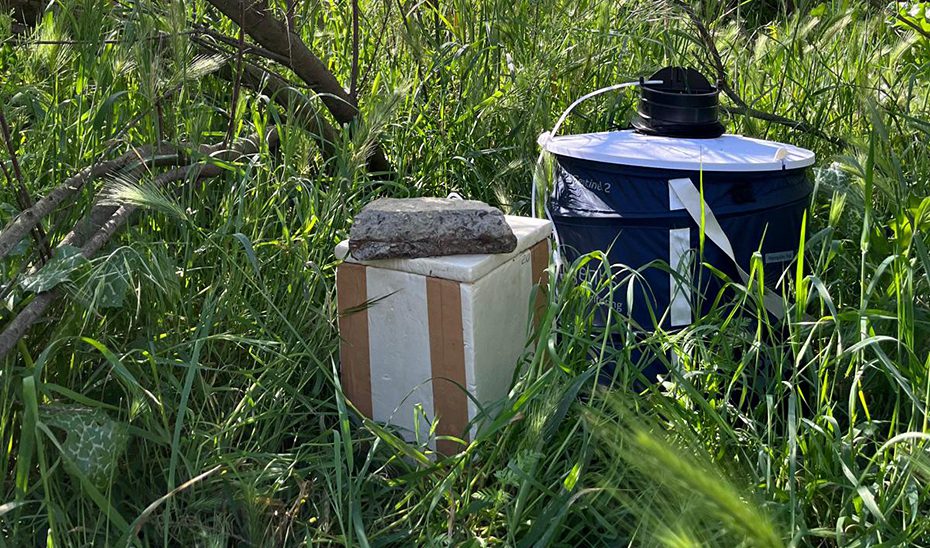 Registradas 50 capturas de mosquito Nilo en marzo mientras 117 municipios andaluces inician la temporada en riesgo alto