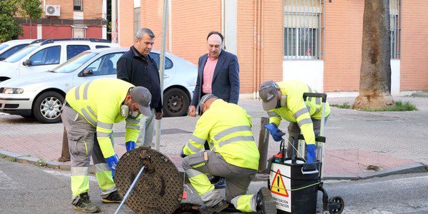 Sevilla licita un contrato de 500.000 euros para reforzar la desratización y control de plagas