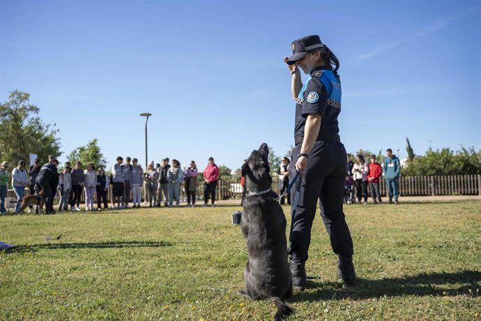 160 estudiantes con NEAE de Sevilla participan en terapia con animales en Mairena