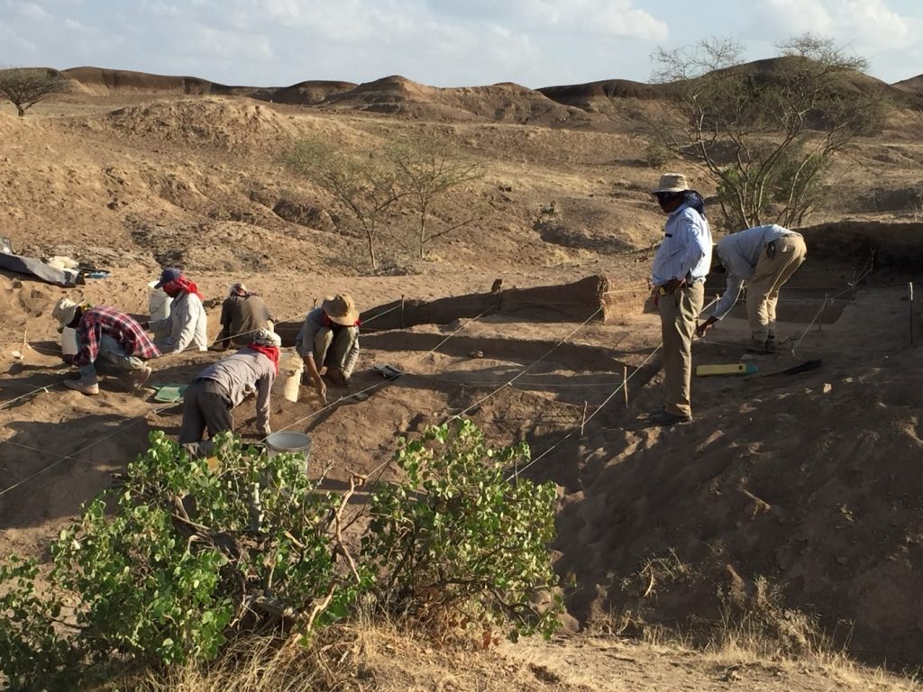 Investigadora de la US participa en el hallazgo de tres esqueletos de Homo sapiens de 100.000 años en Etiopía