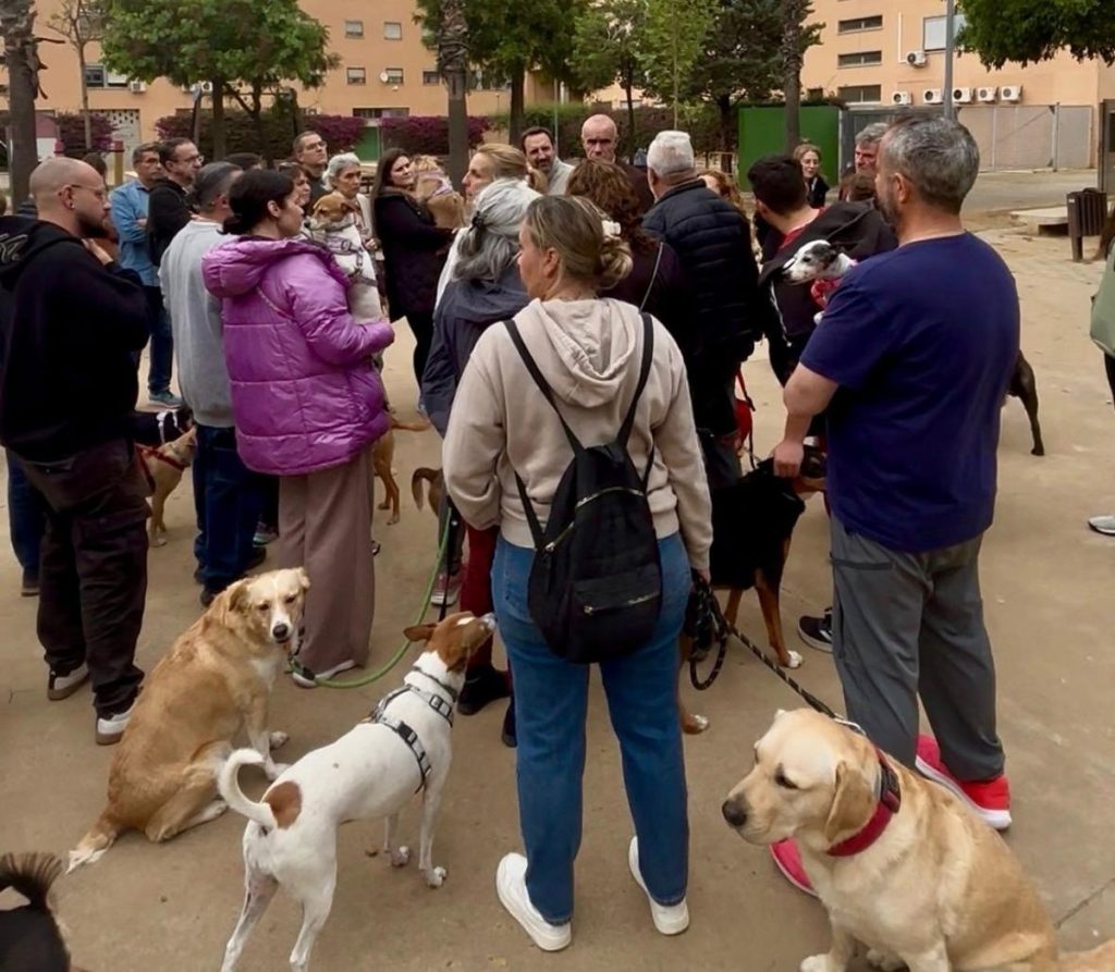 El PSOE exige al alcalde Sanz la reapertura del parque canino de Médicos sin Fronteras en Sevilla Este
