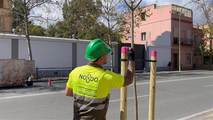 El Distrito Sur suma 590 árboles y 2.400 arbustos en la campaña de plantación municipal