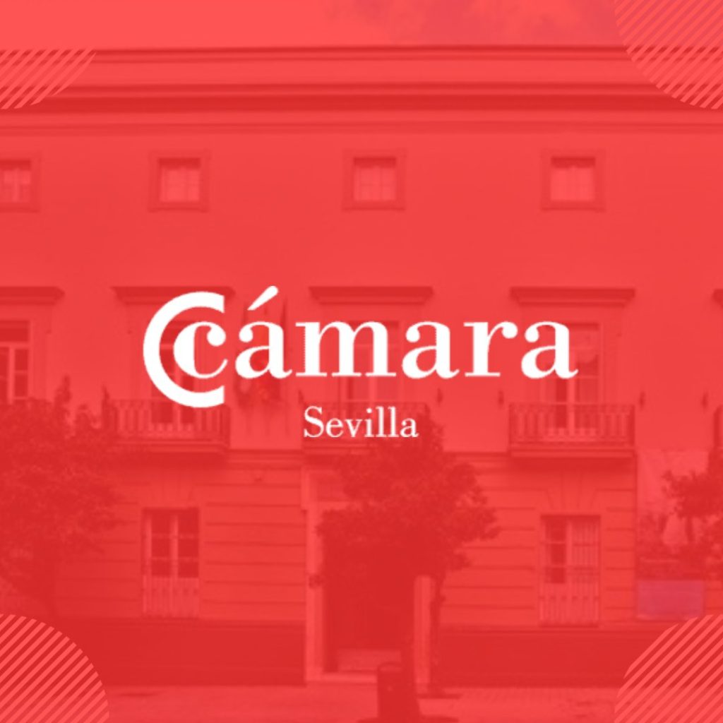 La Cámara de Comercio urge al Ministerio a licitar ya las obras del Puente del Centenario