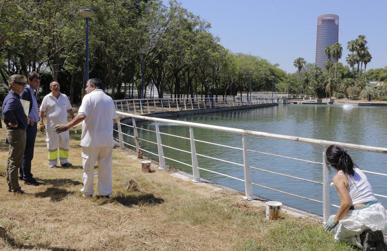 Sevilla licita por 43.560 euros la redacción del proyecto para rehabilitar el Jardín Americano
