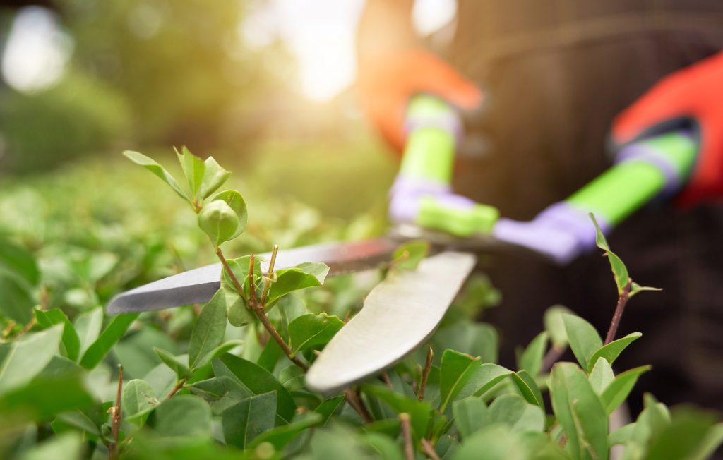Obras en el Jardín Americano: Empleo en Sevilla para personal de obra