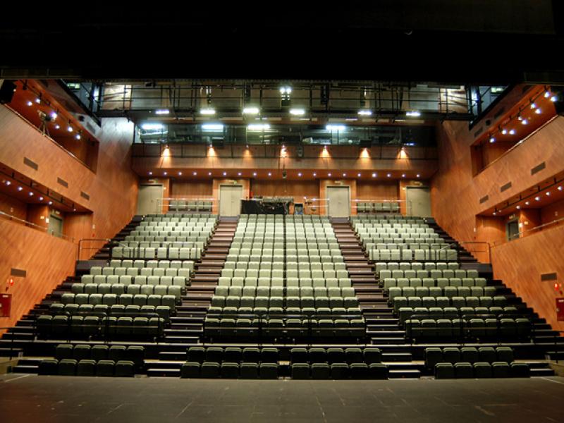 Alfredo Sanzol llega al Teatro Central de Sevilla con dos funciones de 'La última noche con mi hermano'