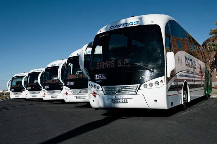 Autobuses al Rocío desde Sevilla: horarios de ida y vuelta para el domingo de Pentecostés y el regreso del lunes