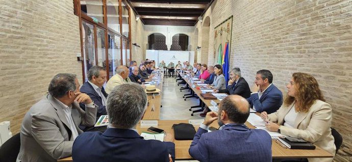 El Plan Romero activa 7.000 efectivos del 18 al 28 de mayo para las 63 filiales de los Caminos de Sevilla