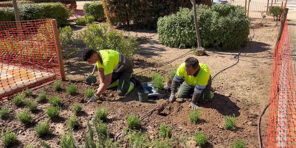 San Pablo-Santa Justa: 1.886 arbustos en el Parque Tanque de Tormenta y 410 árboles nuevos en el distrito