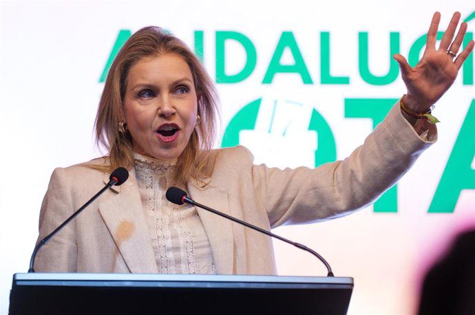Vox Sevilla acusa a Montero de 'menos inversión' en sanidad y a Moreno de 'inacción'