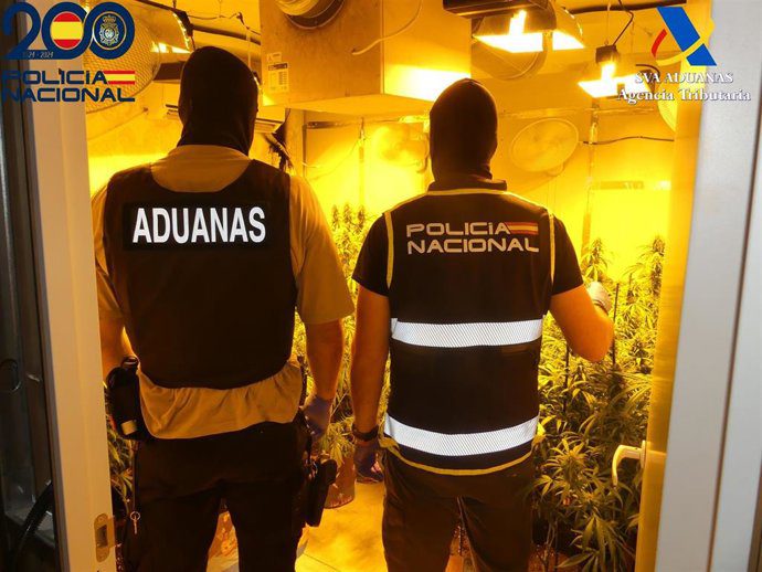 Desmantelados seis cultivos de marihuana con mil plantas y cuatro detenidos en Dos Hermanas
