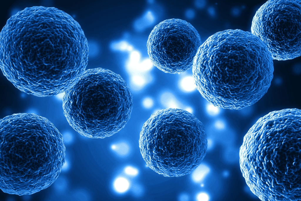 Científicos de la US descubren el sensor de 26 carbonos clave en el crecimiento celular y el cáncer