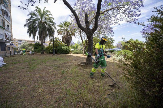 Mairena del Aljarafe anuncia una 'modernización inminente' de jardinería y acerado