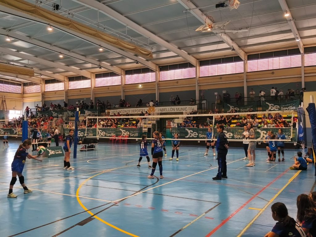 750 jóvenes de la provincia compiten en Bormujos en el III Torneo de Voleibol 'Día de la Provincia'