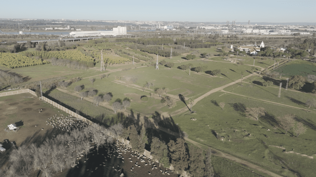 Quarto, en Sevilla, construirá 3.110 viviendas protegidas en la próxima década