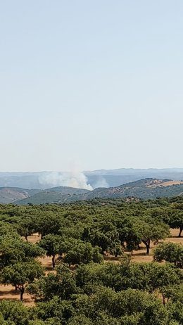 Movilizados medios aéreos y terrestres por un incendio en Almadén de la Plata