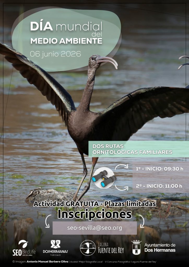Dos Hermanas celebra el Día del Medio Ambiente con 4 días de actividades en La Laguna