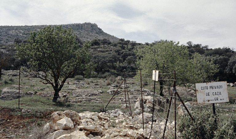 La Junta unifica la figura del guarda de caza en Andaluc&iacute;a con una acreditaci&oacute;n de 5 a&ntilde;os