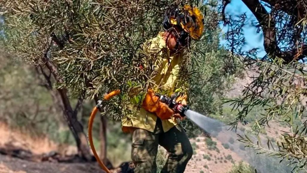 Un incendio forestal en Guillena (Sevilla) elevado a fase de emergencia y activo