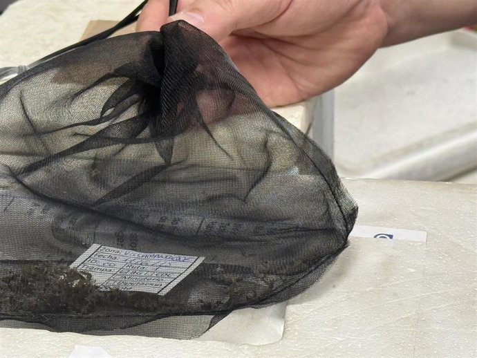 La Rinconada, en riesgo bajo por el virus del Nilo: el Ayuntamiento llama a la calma
