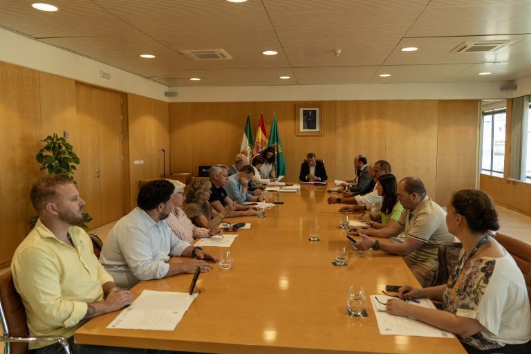 El OPAEF recauda 387,64 millones en 2025, un 5,3% m&aacute;s para municipios sevillanos