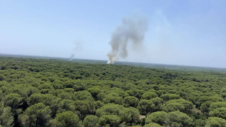 Incendio forestal en La Puebla del R&iacute;o moviliza dos helic&oacute;pteros y un amplio dispositivo del Infoca