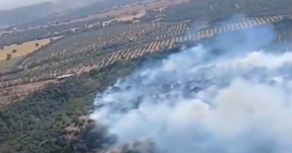 Declarado un incendio forestal en Gerena con amplio despliegue de Infoca