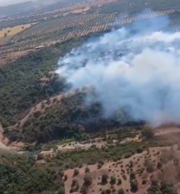 7 Bomberos Forestales Conductores en Aznalcollar