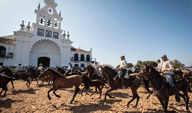 La Saca de las Yeguas de Do&ntilde;ana adelanta a las 9:00 horas el paso de 1.500 caballos