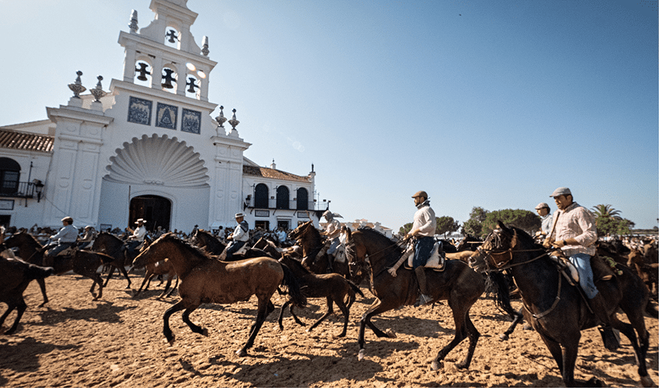 La Saca de las Yeguas de Doñana adelanta a las 9:00 horas el paso de 1.500 caballos