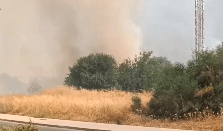 Gran incendio en Mairena del Aljarafe moviliza a bomberos y al Infoca cerca de viviendas