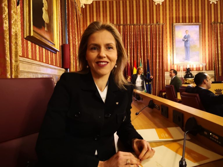 El Pleno de Sevilla aprueba una moci&oacute;n de Vox para pedir elecciones generales por la 'corrupci&oacute;n del Gobierno'