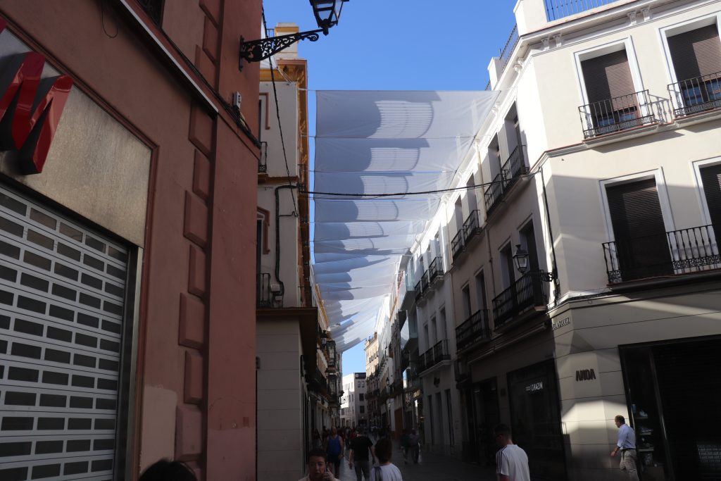 Todos centro de Sevilla- Sebastián Canelo