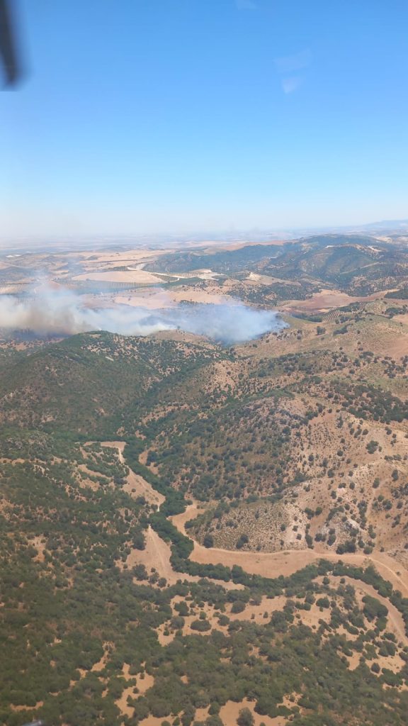 Más de 80 efectivos y tres medios aéreos combaten el incendio de Morón de la Frontera