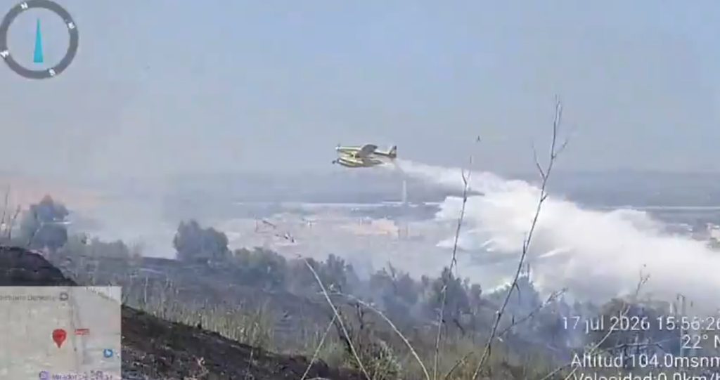 Extinguido el incendio forestal de El Carambolo en Camas (Sevilla)