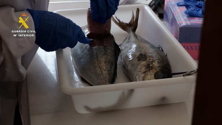 Detenidos dos hombres en Alicante por vender pescado robado con residuos de medicamentos