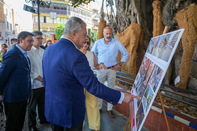 El Ayuntamiento de Sevilla sumará 60 árboles y arbustos en Imagen y José Laguillo