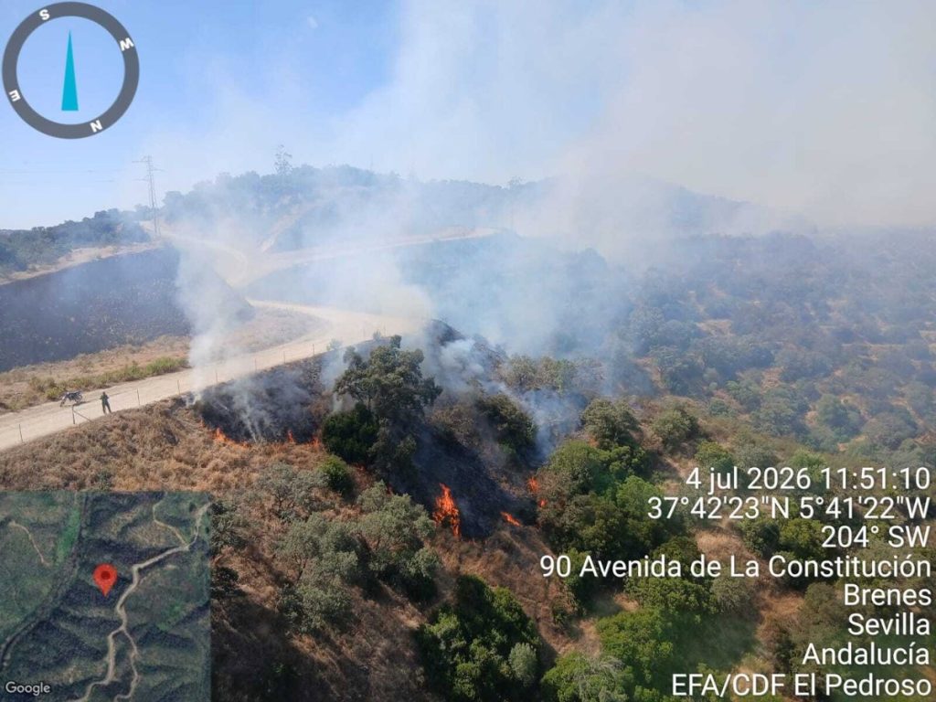 El Infoca controla un incendio forestal en Villanueva del Río y Minas (Sevilla)