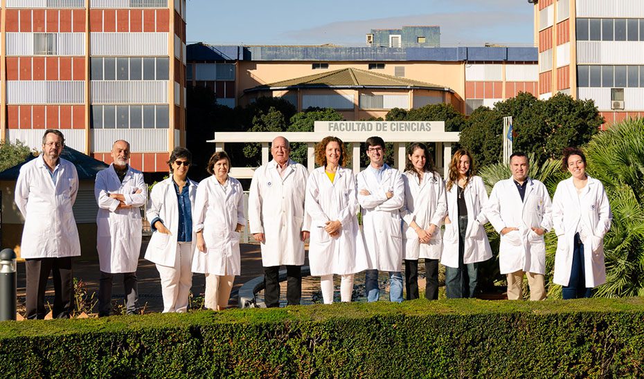 Investigadores andaluces demuestran que el alga asiática mejora el omega 3 en piensos de acuicultura