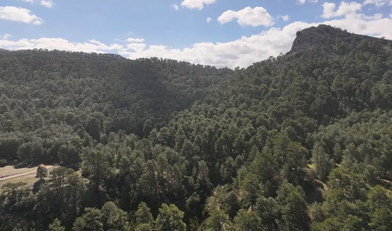 El nuevo Registro de Montes P&uacute;blicos de Andaluc&iacute;a incluye 80 montes en Sevilla de los 1.434 totales